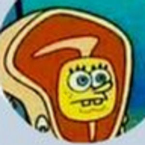 Meet your Posher, Anne